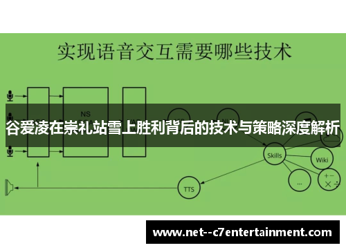 谷爱凌在崇礼站雪上胜利背后的技术与策略深度解析