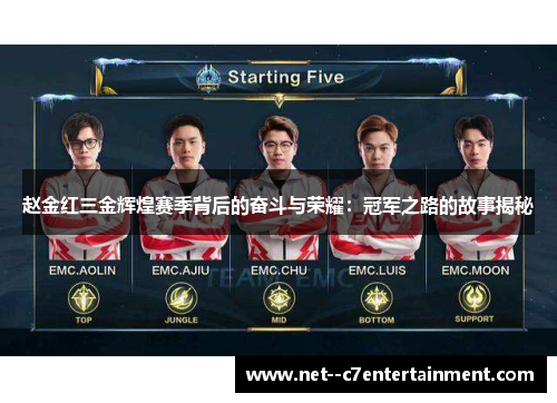 赵金红三金辉煌赛季背后的奋斗与荣耀：冠军之路的故事揭秘